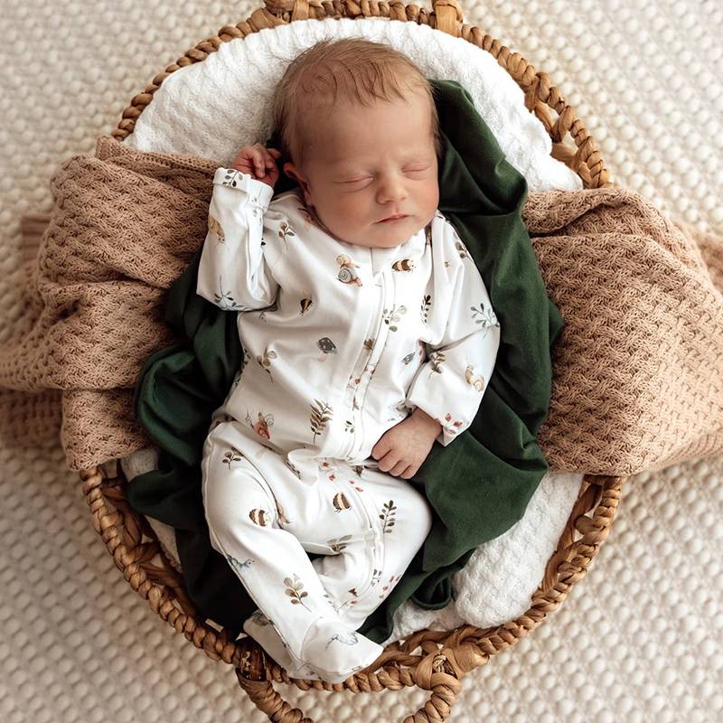 Garden Friends Organic Snuggle Sleepsuit Zip Footie Main Image