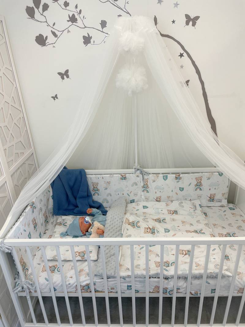 Komplett 5er Set Premium Teddy Bears Hauptbild