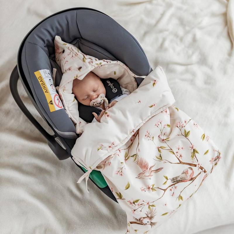 Premium Car Seat Cover | 3-in-1 | Arrival of Birds Main Image